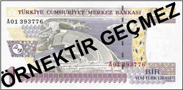 BİR YENİ TÜRK LİRASI ARKA YÜZÜ