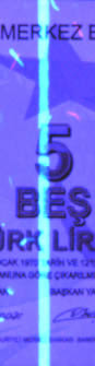 Features Visible under UV Light