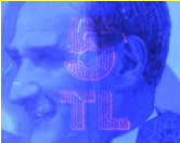 Features Visible under UV Light
