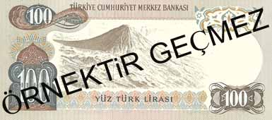 YÜZ TÜRK LİRASI ARKA YÜZ YÜZ TÜRK LİRASI ARKA YÜZ