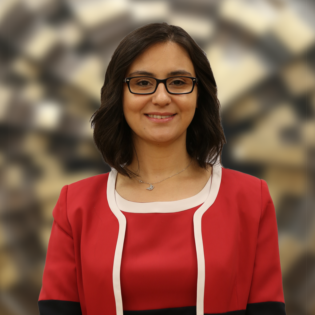 Merve Mavuş Kütük