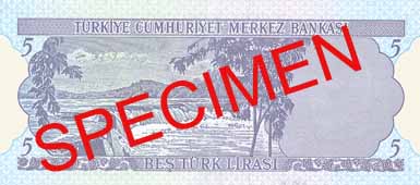 FIVE TURKISH LIRA BACK FACE