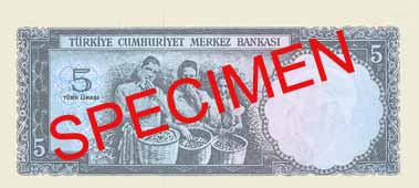 FIVE TURKISH LIRA BACK FACE FIVE TURKISH LIRA BACK FACE