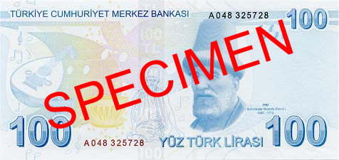 100 Turkish Lira Back Face