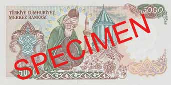 FIVE THOUSAND TURKISH LIRA BACK FACE