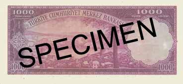 ONE HUNDRED TURKISH LIRA BACK FACE