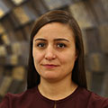 F. Pınar Erdem Küçükbıçakcı