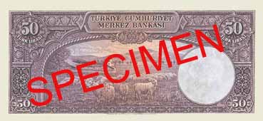 FIFTY TURKISH LIRA BACK FACE