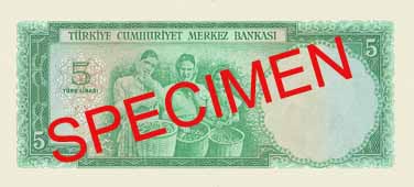 FIVE TURKISH LIRA BACK FACE