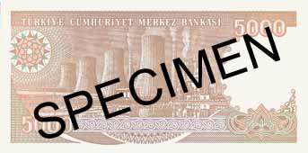 FIVE THOUSAND TURKISH LIRA BACK FACE